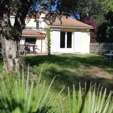 Appartement En Rez De